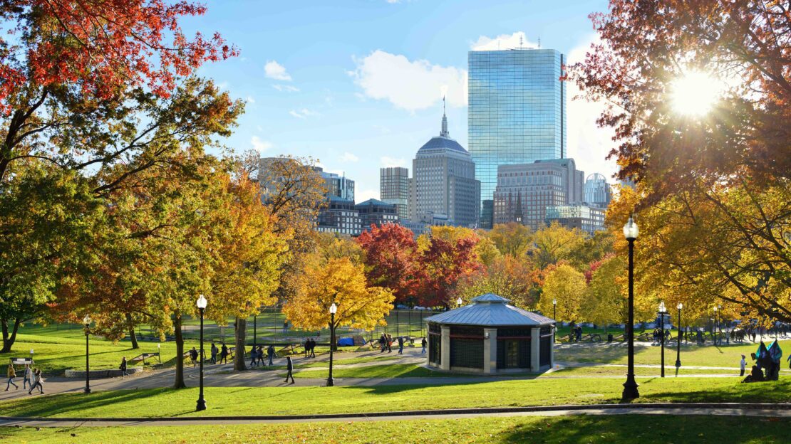 Boston Common in the fall with sun shining through trees.