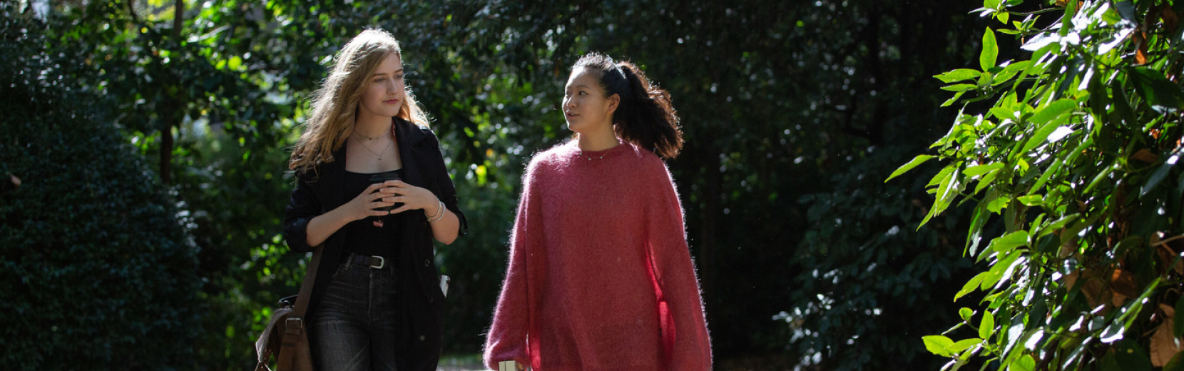 Two people walk together in a sunlit, leafy park. One wears a black outfit and the other a pink sweater. They are engaged in conversation, surrounded by trees and greenery.